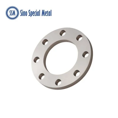 Hastelloy Alloy B2 DIN 2573 2576 2502 2503 Bride plat pou soude